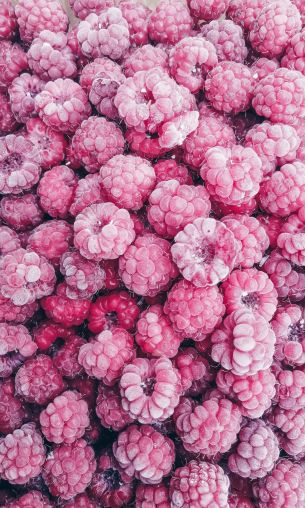 raspberries, berry Wallpaper 1200x2000