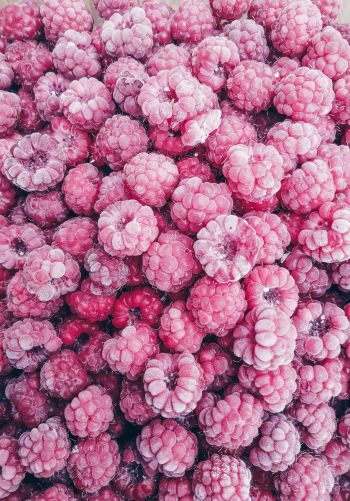 raspberries, berry Wallpaper 1668x2388