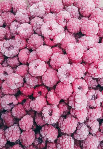 raspberries, berry Wallpaper 1640x2360