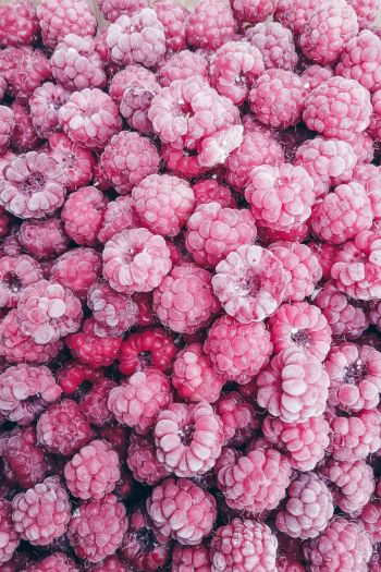 raspberries, berry Wallpaper 640x960