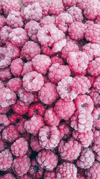 raspberries, berry Wallpaper 640x1136