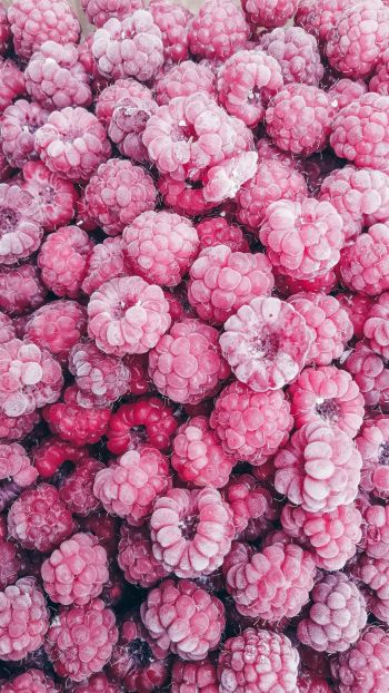 raspberries, berry Wallpaper 1440x2560