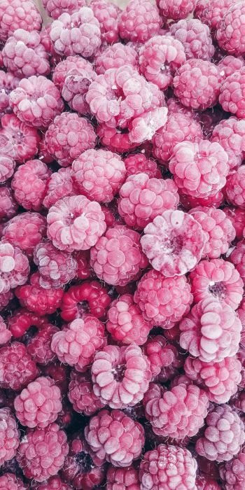 raspberries, berry Wallpaper 720x1440