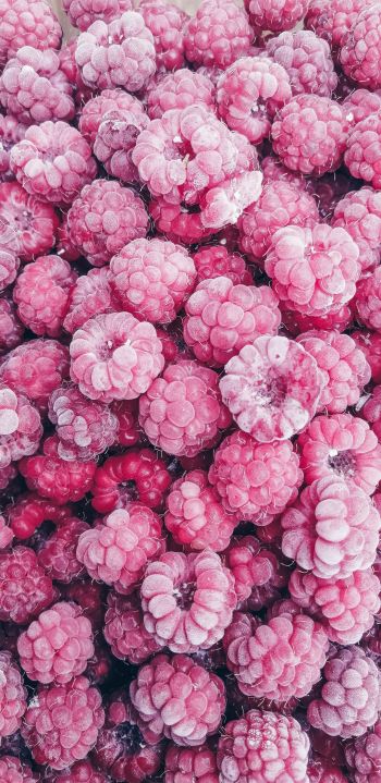 raspberries, berry Wallpaper 1440x2960