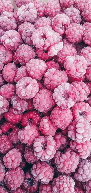 raspberries, berry Wallpaper 1080x2280