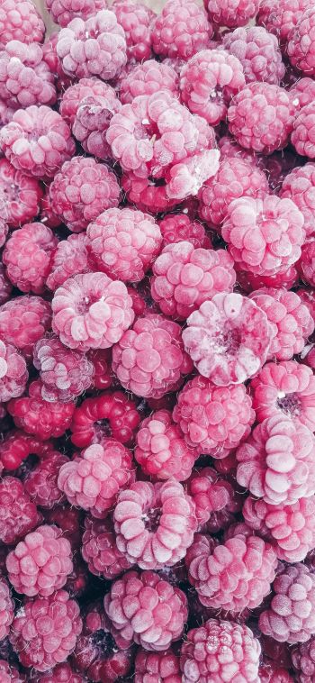 raspberries, berry Wallpaper 1080x2340
