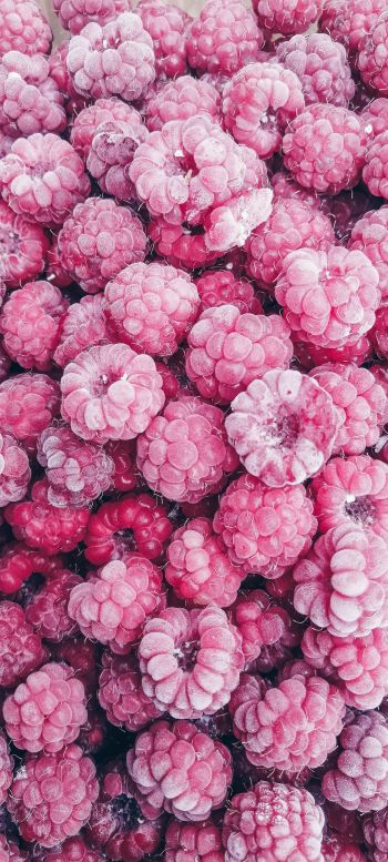 raspberries, berry Wallpaper 1080x2400