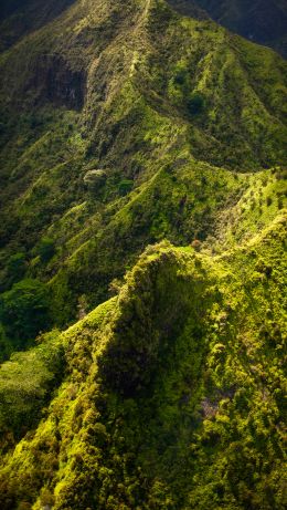 Kauai, Hawaii, USA Wallpaper 640x1136