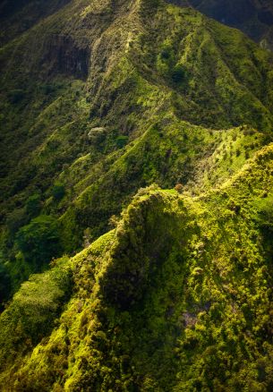 Kauai, Hawaii, USA Wallpaper 1640x2360