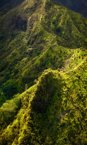 Kauai, Hawaii, USA Wallpaper 1200x2000