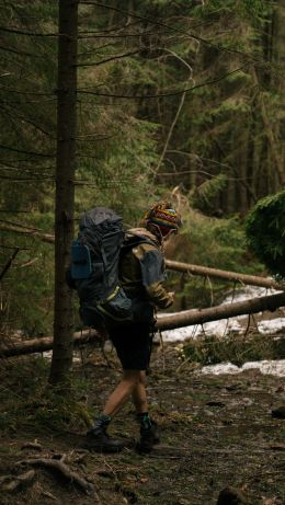 hiking, in the woods Wallpaper 640x1136