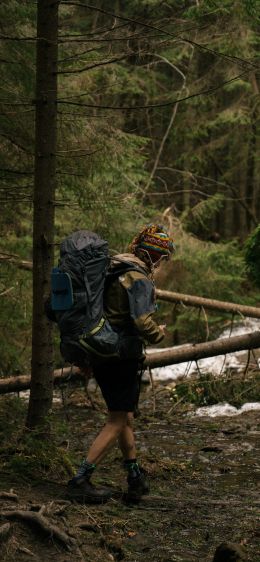 hiking, in the woods Wallpaper 828x1792