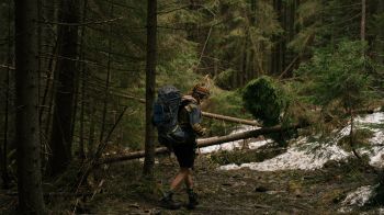 hiking, in the woods Wallpaper 1366x768