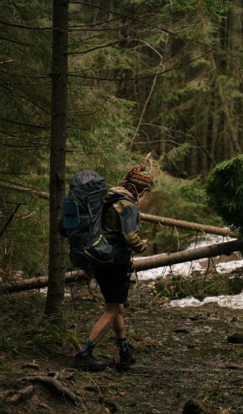 hiking, in the woods Wallpaper 600x1024