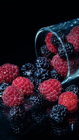 blackberry, raspberries, berry Wallpaper 1440x2560