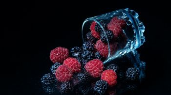 blackberry, raspberries, berry Wallpaper 1366x768