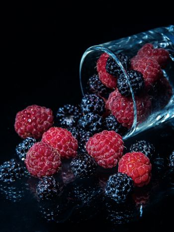 blackberry, raspberries, berry Wallpaper 2048x2732