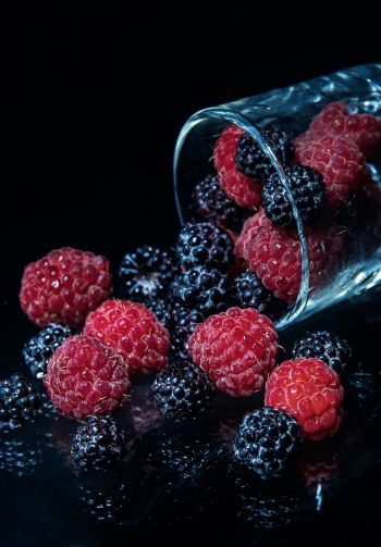 blackberry, raspberries, berry Wallpaper 1640x2360