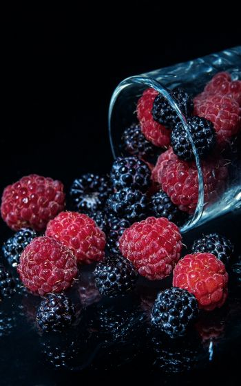 blackberry, raspberries, berry Wallpaper 1752x2800