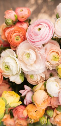 flowers, bouquet Wallpaper 1080x2220