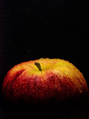 apple, black wallpaper Wallpaper 1536x2048