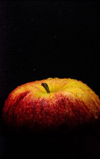 apple, black wallpaper Wallpaper 1752x2800