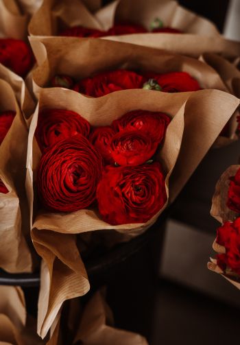 roses, bouquets Wallpaper 1640x2360
