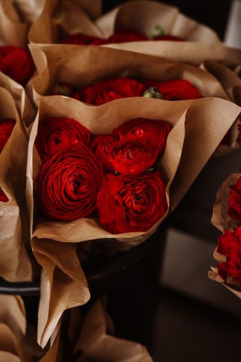roses, bouquets Wallpaper 640x960