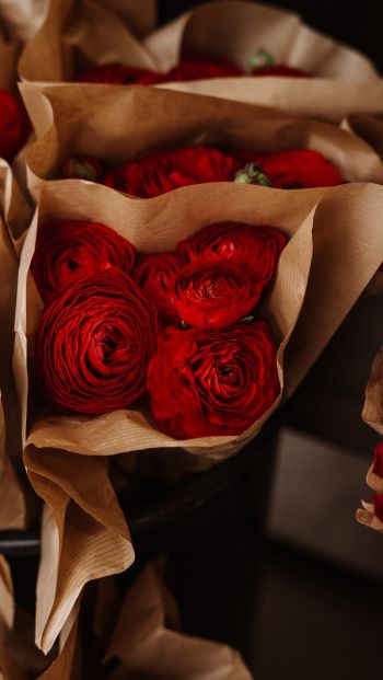 roses, bouquets Wallpaper 640x1136