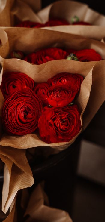 roses, bouquets Wallpaper 1080x2280