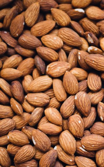 almond, nuts Wallpaper 1752x2800