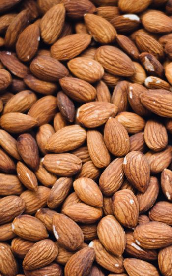 almond, nuts Wallpaper 1200x1920