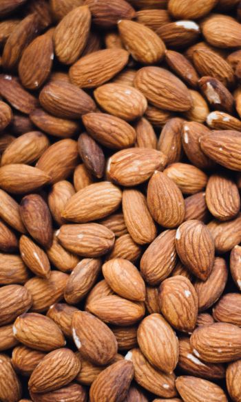 almond, nuts Wallpaper 1200x2000