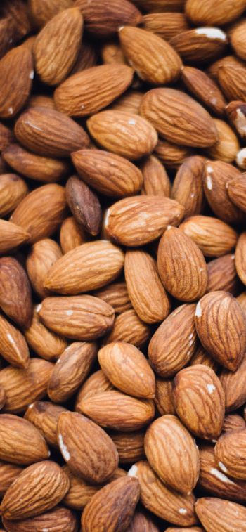 almond, nuts Wallpaper 1284x2778