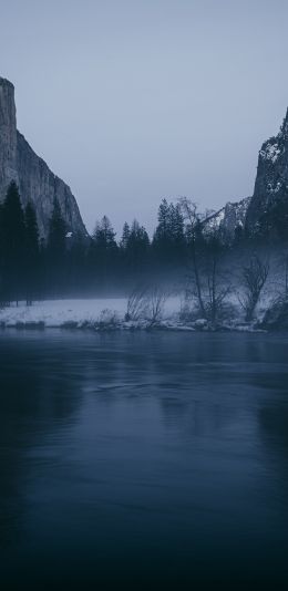 Yosemite National Park, California, USA Wallpaper 1440x2960