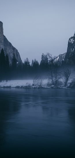 Yosemite National Park, California, USA Wallpaper 1440x3040