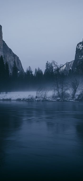 Yosemite National Park, California, USA Wallpaper 1125x2436