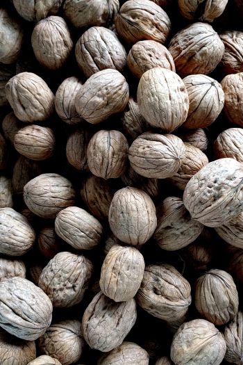 walnut, walnut Wallpaper 640x960