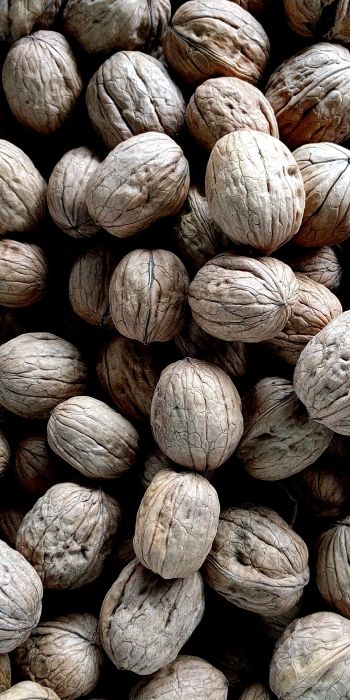 walnut, walnut Wallpaper 720x1440