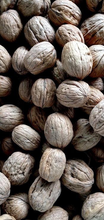 walnut, walnut Wallpaper 720x1520