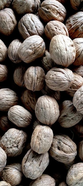 walnut, walnut Wallpaper 720x1600