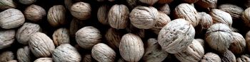 walnut, walnut Wallpaper 1590x400