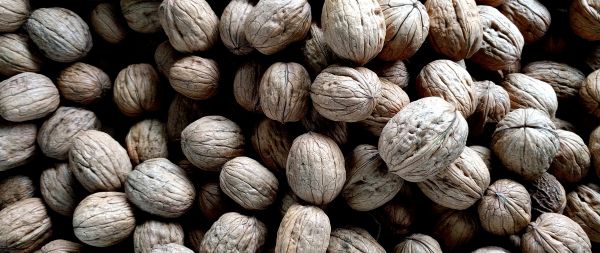 walnut, walnut Wallpaper 2560x1080