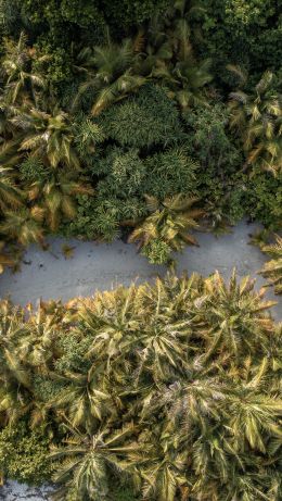 Oluvelifuši, Maldives Wallpaper 640x1136