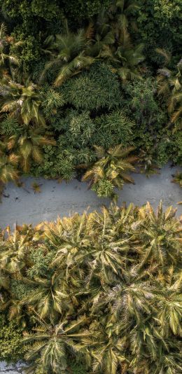 Oluvelifuši, Maldives Wallpaper 1440x2960