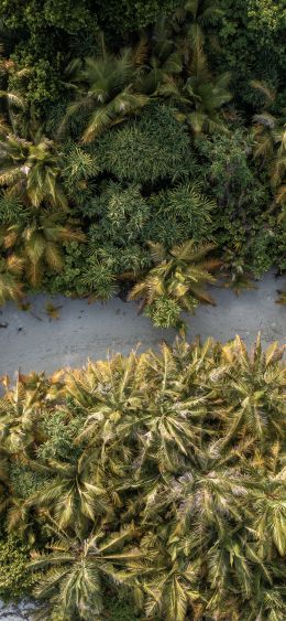 Oluvelifuši, Maldives Wallpaper 1080x2340