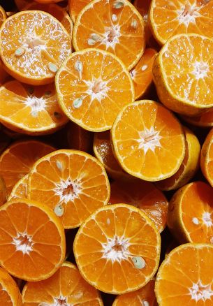 orange wedges, oranges Wallpaper 1640x2360