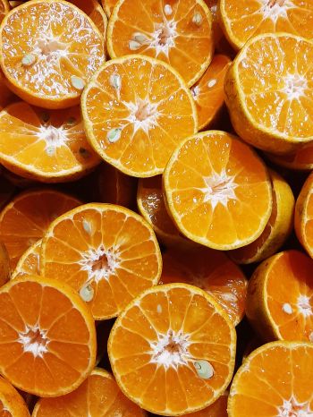 orange wedges, oranges Wallpaper 1536x2048
