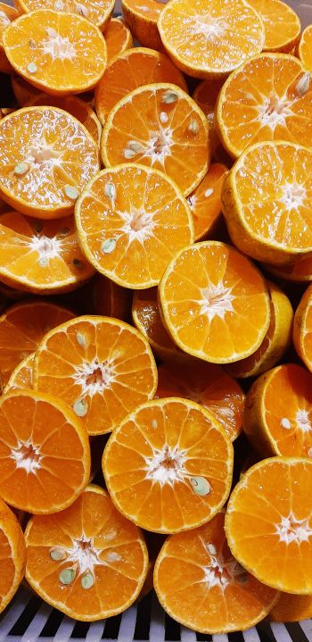 Обои 1080x2220 дольки апельсина, апельсины