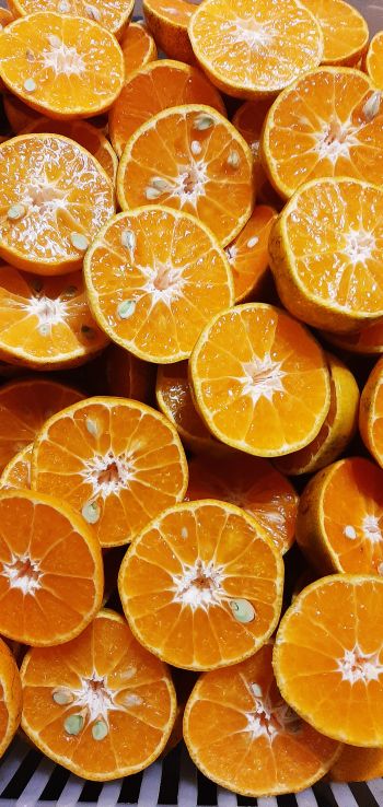 orange wedges, oranges Wallpaper 1440x3040